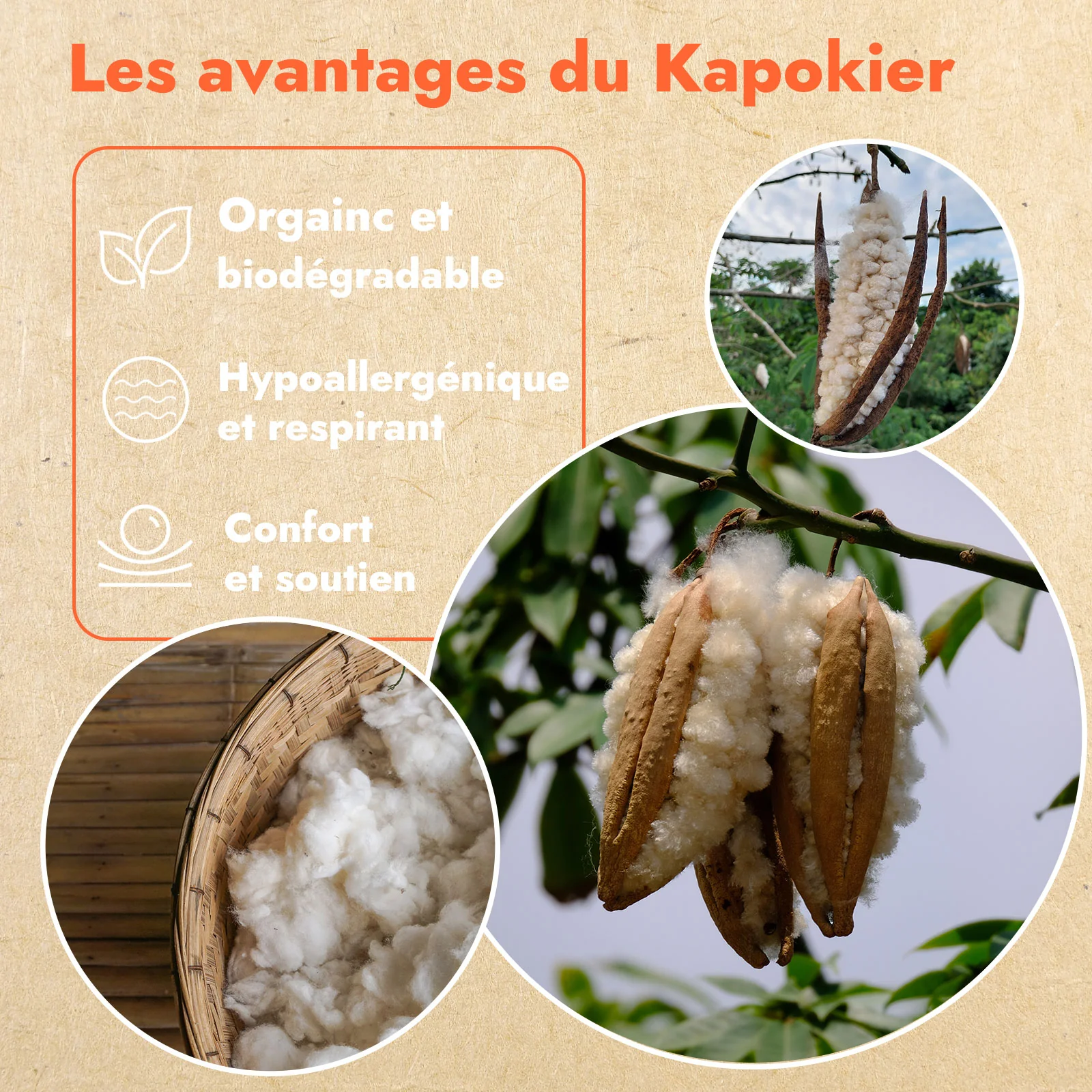 Oreiller kapok 100% naturel, ergonomique, organique - Collection Kapok - Image 12